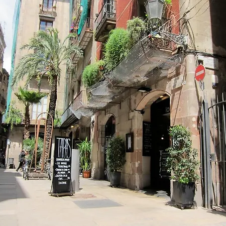 Apartment Borne Lofts Barcelona