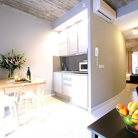 Borne Lofts Apartment *