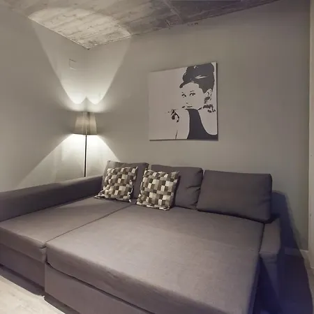 Apartment Borne Lofts Barcelona