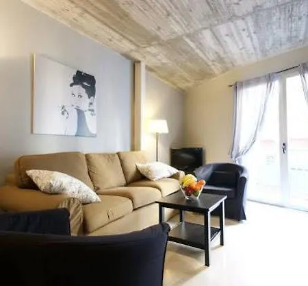 Borne Lofts Apartment *