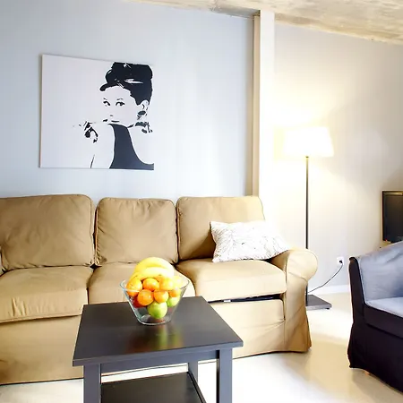 Apartment Borne Lofts Barcelona