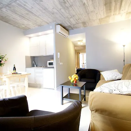 Borne Lofts Apartment