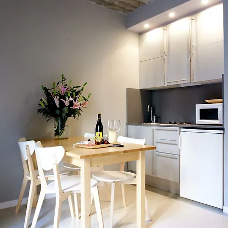 Borne Lofts Apartment