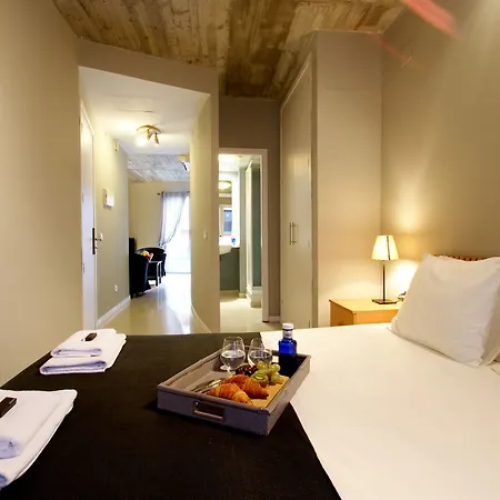 Borne Lofts Apartment