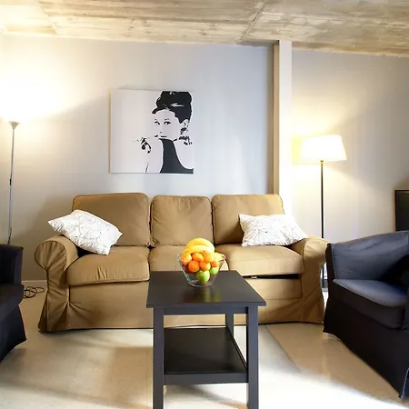 Borne Lofts Apartment